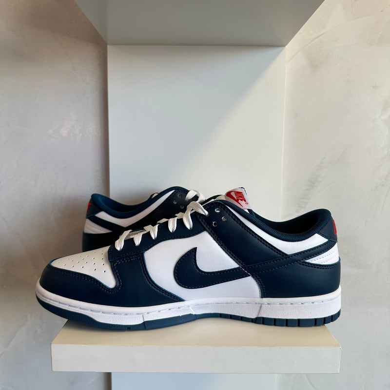 Nike Dunk Low Valerian Blue (Pronta Entrega)