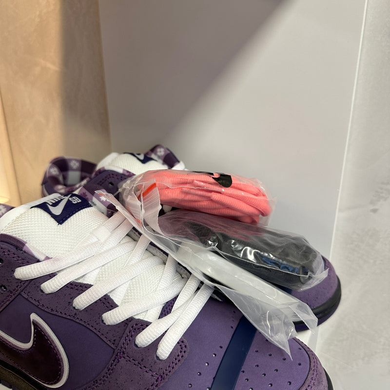 Nike SB Dunk Low Concepts Purple Lobster (Pronta Entrega)