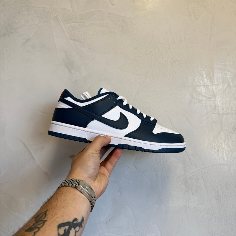Nike Dunk Low Valerian Blue (Pronta Entrega)