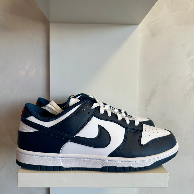 Nike Dunk Low Valerian Blue (Pronta Entrega)